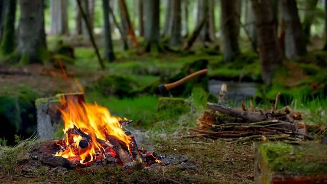 Видео костра. Огонь в лесу - фоновая заставка