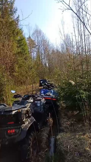 Буксуем помаленьку