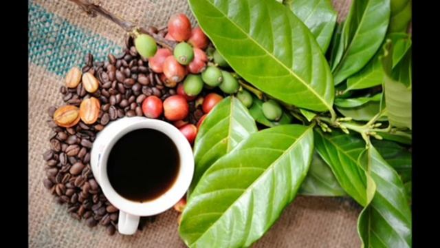 .... Чем полезен и вреден Кофе....