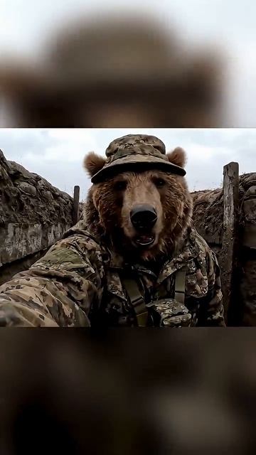 🔵Михалыч и Потапыч в штурмах🙂🔵(1 серия).