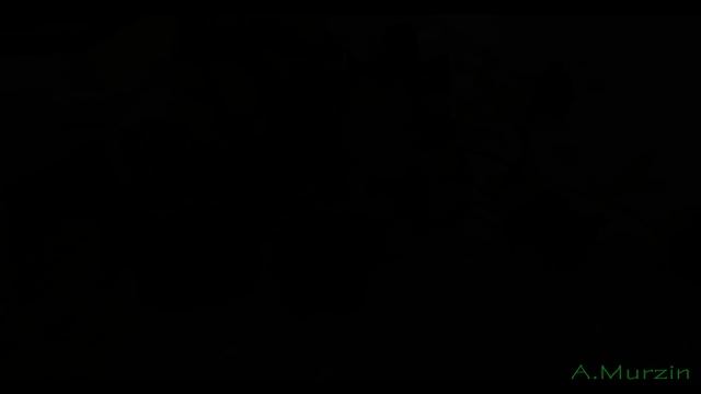 Masterminds Of Miracles 015 (Koan) Part 1