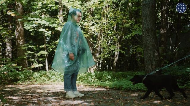 Щенок ВИК первое взрослое тестирование