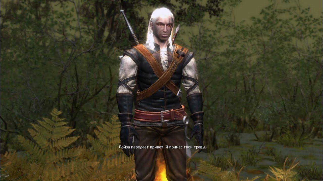 The Witcher / Ведьмак #12