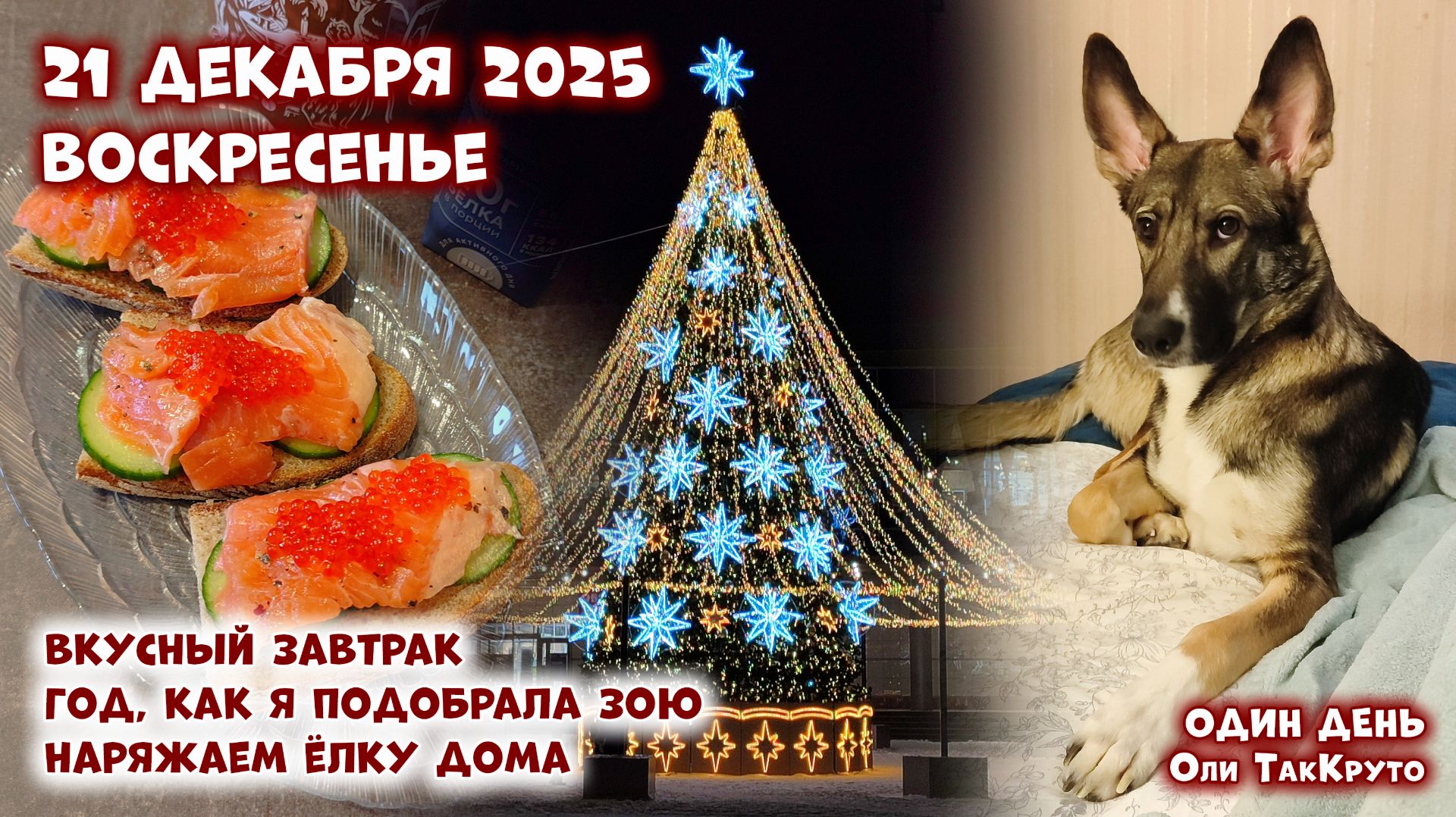 Наряжаем ёлку дома. Как в городе украсили центральную площадь, 21 декабря 2025, день с Олей ТакКруто