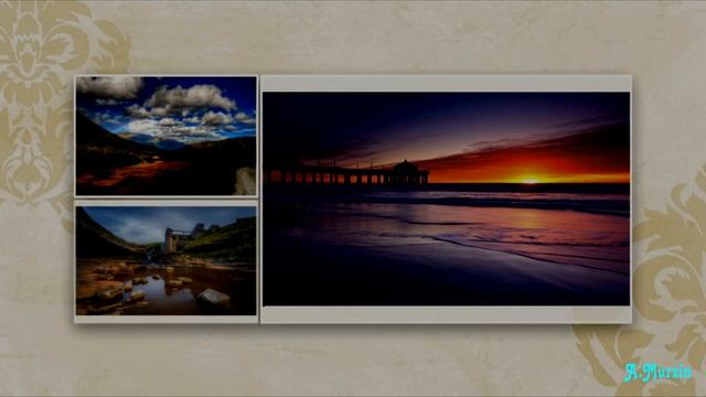 Fungus - Experiments With Itself