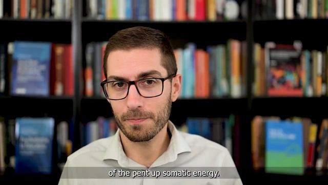 What is Polyvagal Theory