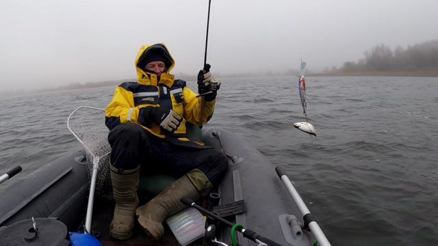 Осень 2025! (21) - Зима начнётся уже завтра!