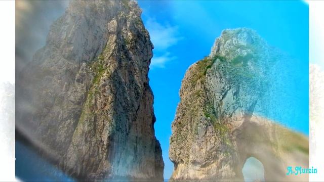 Fungus - Illumination