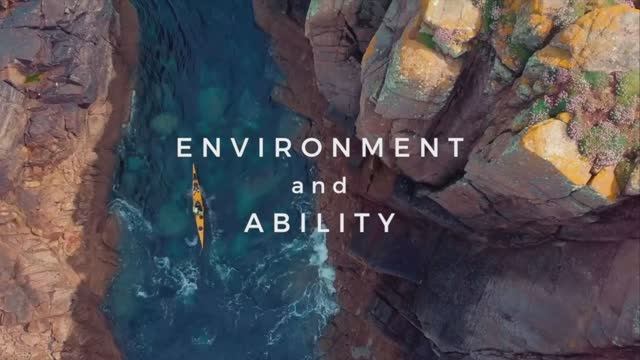 Окружающая среда и навыки (Environment and ability)