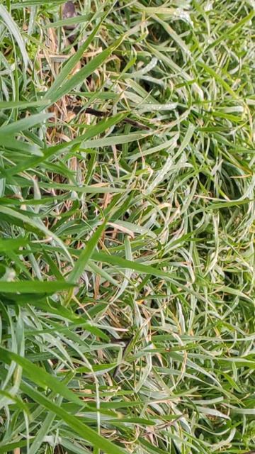 Вот такой день в городе Евпатория | 17 марта 2021 г  Крым  ХАН БАТОН XAH 6ATOH | VID_20210317_142003