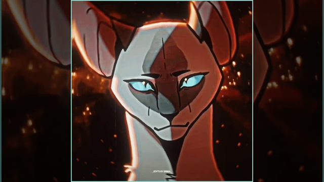 Blue Star/Edith/Warrior cats!/Синяя Звезда/Эдит/Коты воители!