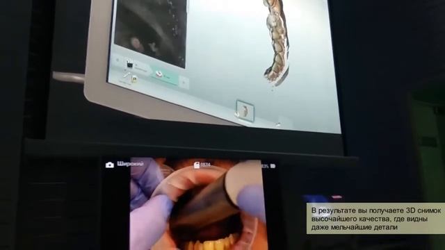 LIVE прием с Fona MyCrown.