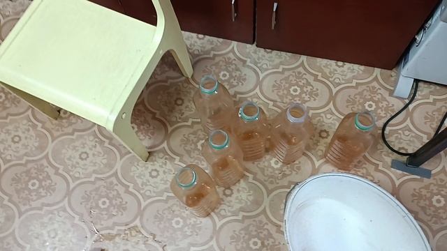 Зарисовки и анонс, черепахи