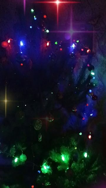Елочка 🎄 в ожидании нового года