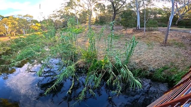 Прогулка воль реки городского парка