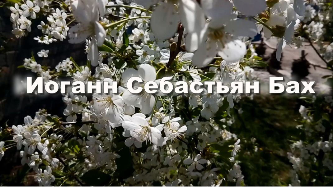 Иоганн Себастьян Бах,  Хоральная прелюдия. Музыка для души