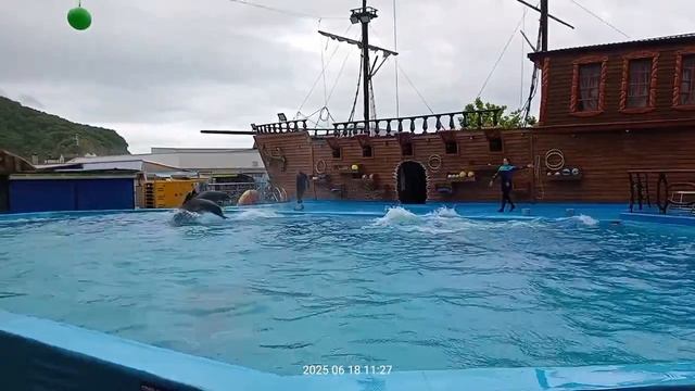 Побывали в дельфинарии в Архипке! 18 июня 2025 год