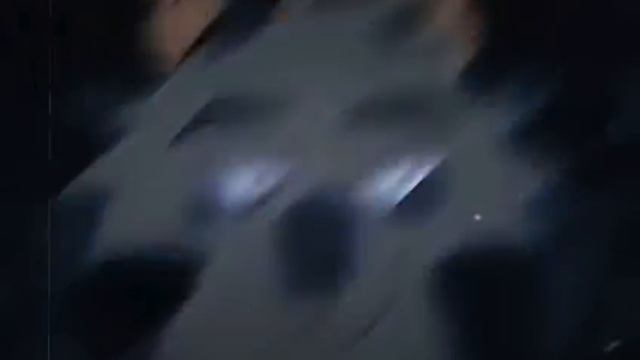 Кленовница, Уголёк, Темнохвост,Звездоцап/Эдит/Коты воители/