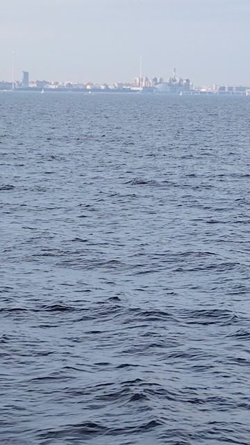 Корабельный кронштадтский форватер. Вид на Васильевский остров