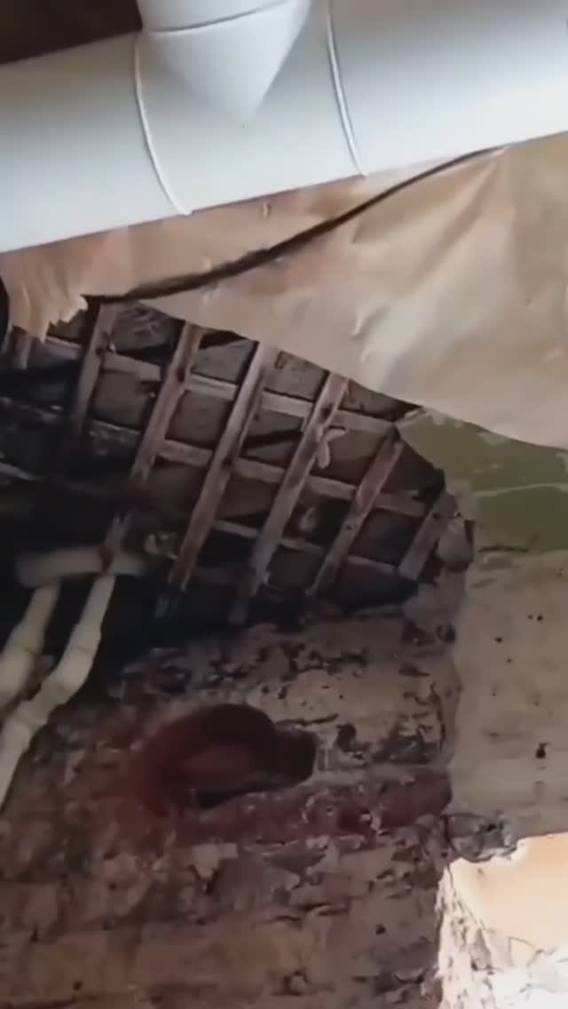 Потолок рушится.