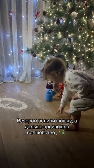 Полили шишку