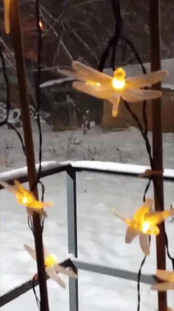 Метель и стрекозы за окном.