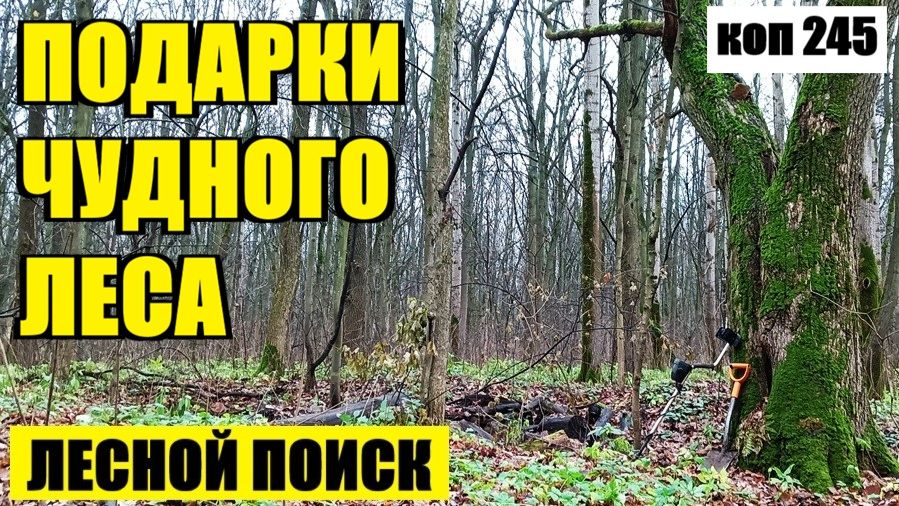 НЕ ОЖИДАЛ ЗДЕСЬ ЕЕ НАЙТИ.  коп 245