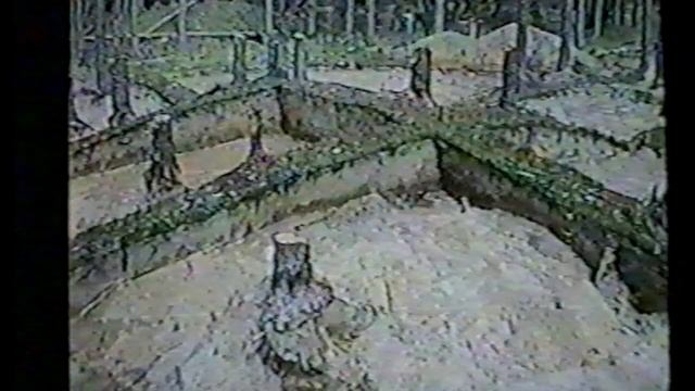 Проведение детских археологических экспедиций Доклад Всеволода Пежембского 02.03.1999 г. КНТ РГО СПб