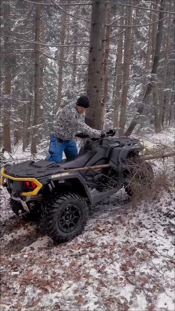 Проткнул бревном квадроцикл, чудом остался жив