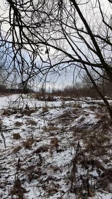 Новогодняя акция  скидка 30 % Земельный участок 16 соток с соснами в дер. Легково