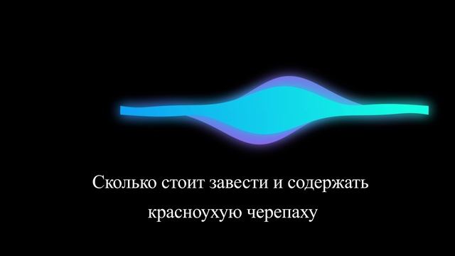 Сколько стоит завести и содержать красноухую черепаху