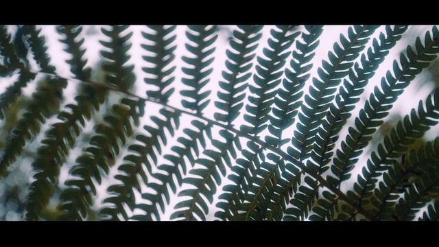 Эти километры помнят мою историю на Dominar 400. Теперь они ждут твою