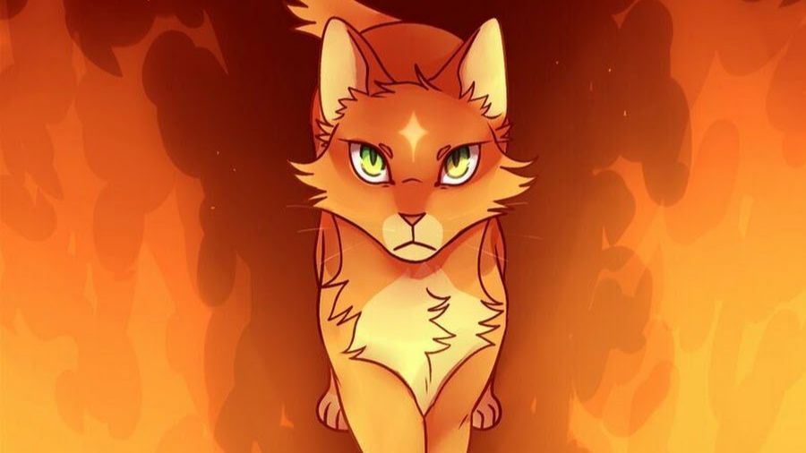 Первая, и последняя битва Огнезвезда/Коты воители