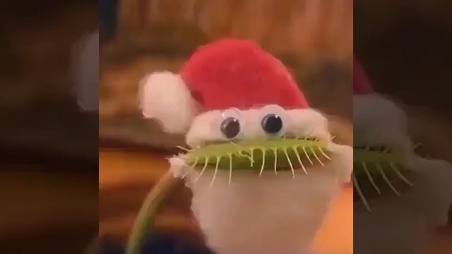 Новогодняя мухоловка