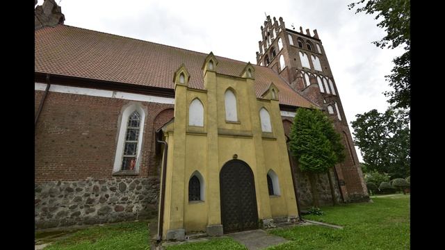 Kiwity  15 августа 2018