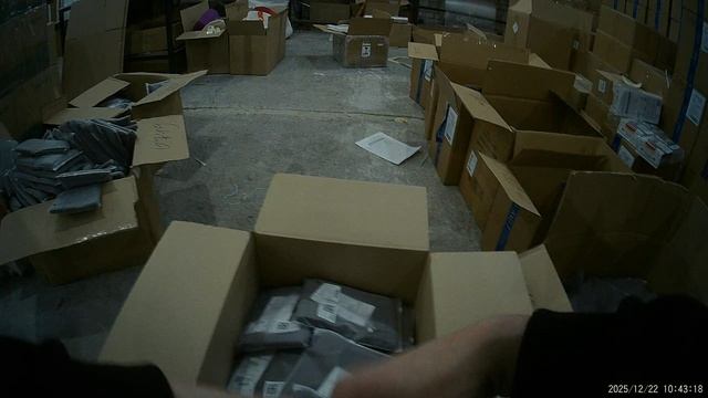 20251222103850_000239