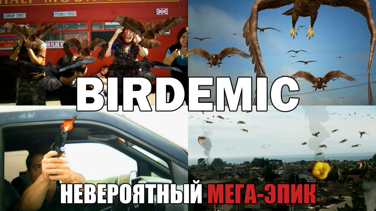 «Птицекалипсис» — мировой шедевр кинематографа