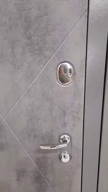 Входные двери Лабиринт LOFT. Видеообзор от Farniture.ru