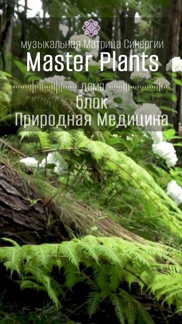 Микс Мастер Плант (фрагмент). Альбом планетарная медицина растений. Музыкотерапия Синергия