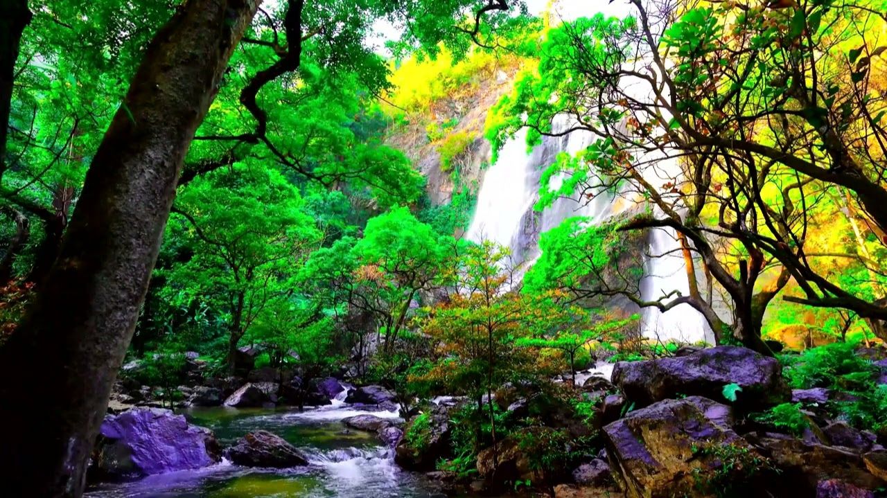 🌿 Фантастическая лесная атмосфера, красивые горные водопады и щебетание птиц.