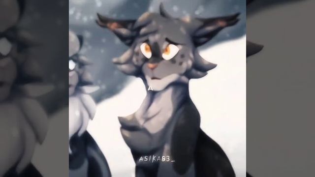 Серое крыло/Эдит/Коты воители/