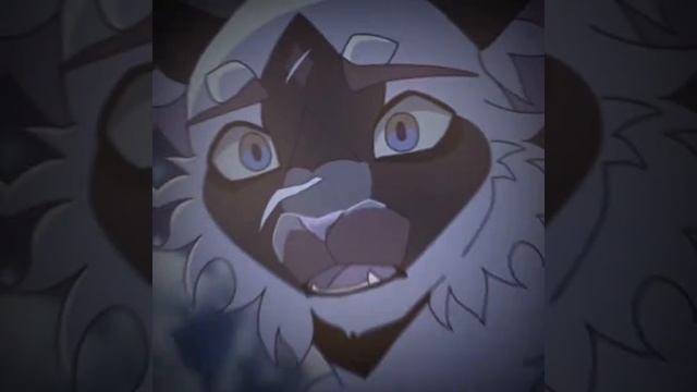 Чернозвезд/Эдит/Коты воители/