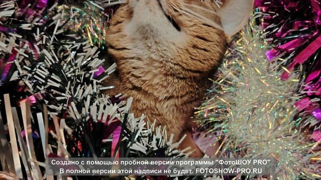 Слайд шоу. Марго выбирает игрушки для елки. Ч наступающим, друзья!!!