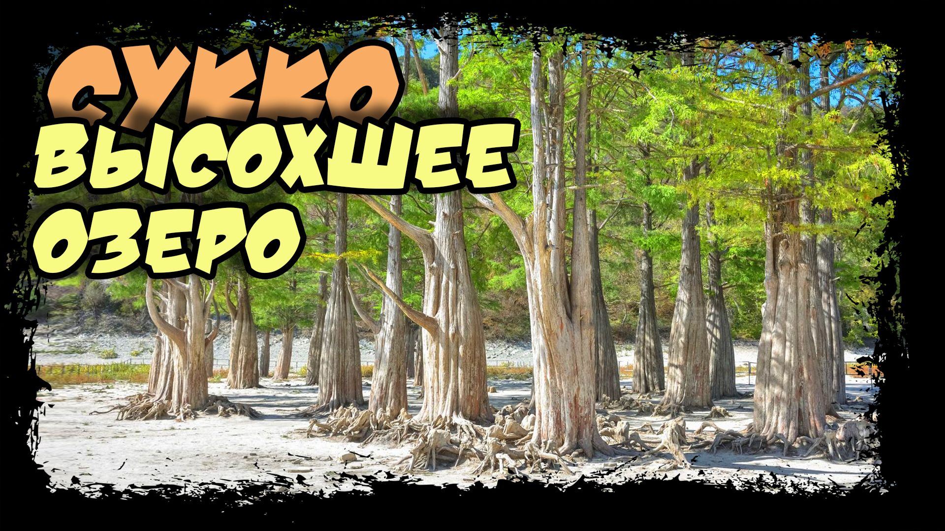 Сукко. Высохшее кипарисовое озеро. Африканская деревня (30fps) #сукко #кипарисовое_озеро