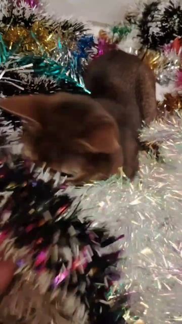 марго выбирает игрушки на новогоднюю елку