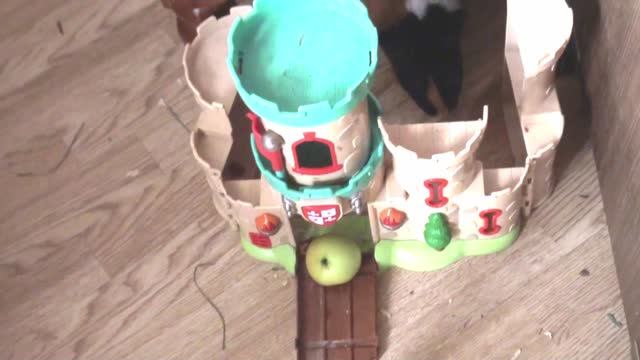 Белочка и яблоко в замке авг2022