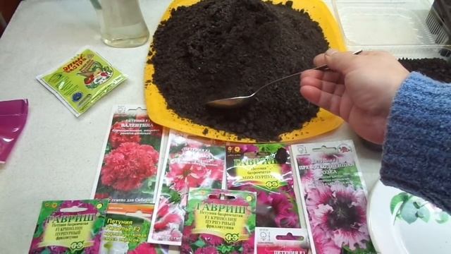 ПЕТУНИЯ.  ГОТОВЛЮ ГРУНТ ДЛЯ ПОСЕВА. 2022 год.