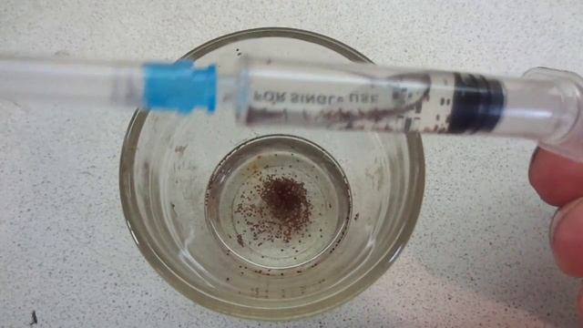 ПЕТУНИЯ. КАК ПОВЫСИТЬ ИММУНИТЕТ СЕМЯН? ЗАМАЧИВАЮ СЕМЕНА ПЕРЕД ПОСЕВОМ. 2022 год.