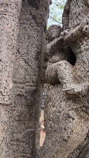 Древние колонны со странными существами в парке г. Пудучерри. Южная Индия.