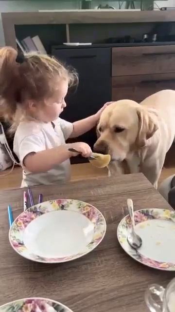 вкусные вареники были